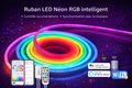 Ruban LED Néon RGB